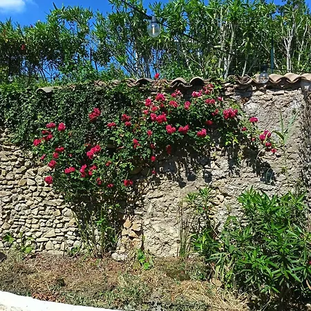 Maison De Caractere 170m2 Coeur De Village בית נופש